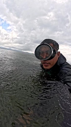 63K views · 751 reactions | Catching sea shell  #seaadventure #seashells | Jremieh Empinado Rubin | Facebook