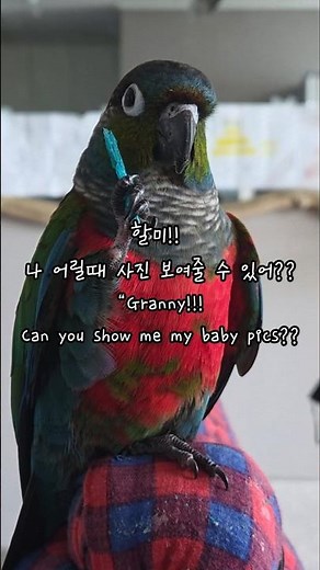 할미!!나 어릴때 사진 보여줄 수 있어?“Granny!!! Can you show me my baby pics?” 🥰