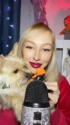 Real Dog ASMR 🐶💛 Soft Sounds & Cuddles for Sleep