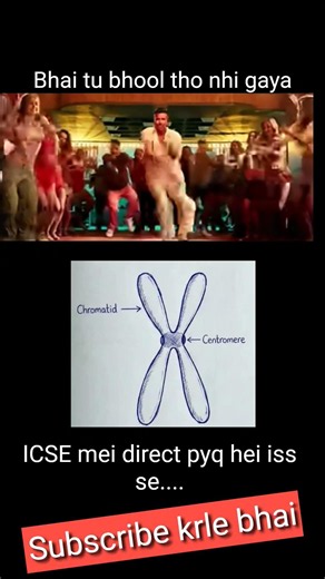 structure of chromosome icse biology ||| bhai tu bhool tho nhi gaya ||| #icserevisionseries #icse