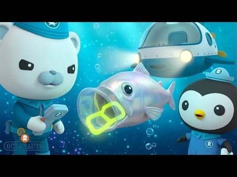 🚑 Emergency Surgery! Saving the Choking Tube Eye Fish! 🌊 Octonauts Full Episode