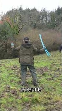 Cows Gone Wild! #shorts