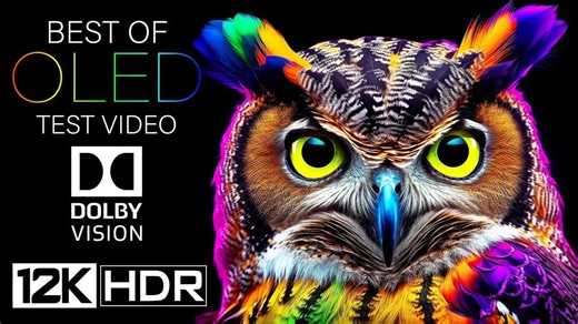 最佳oled超清测试！ 转4KHDR I屏幕测试，极致画质|杜比视界|电视屏幕测试|手机屏幕测试