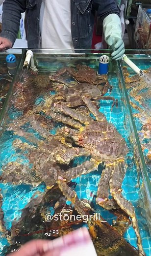 stonegrill_ on TikTok