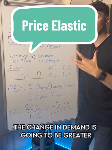 Price Elastic | A-Level Business #academicplus#alevelbusiness #businesstutor #ALevel #businessstudent