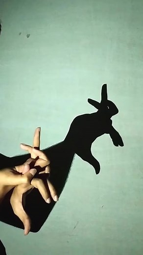 Creating Rabbit Hand Shadows: A Fun Art Guide