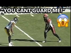 Chad Johnson & TJ Houshmandzadeh vs Ike Taylor (2007) WR vs CB