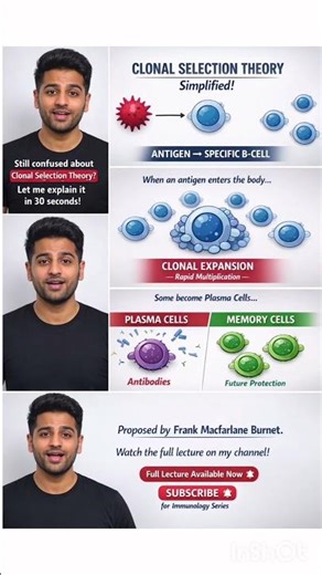 Clonal Selection Theory Explained in 30 seconds #fyp #zoology #immunology