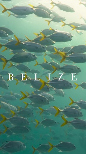 Travel Belize on TikTok