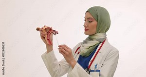 Muslim woman doctor shows uterus model with vaginal swab. Female physician in hijab shows process of collecting sample from cervix at examination