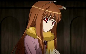 C语言编程入门17 array 数组