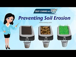 Soil | Ways to Prevent Soil Erosion | Environment, Land & Water | Geography | Soil Erosion | Science