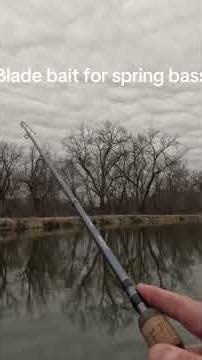 One of the most over looked early spring bass fish lures! #bassfishing #fishing #bladebaits
