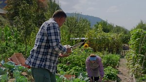 Granny’s secret kimchi - traditional village recipe