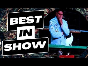 2022 Best in Show - ARBA National Convention