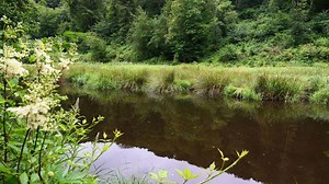 La Wallonie lance une campagne pour rappeler que les rivières ne sont pas des poubelles - RTBF Actus