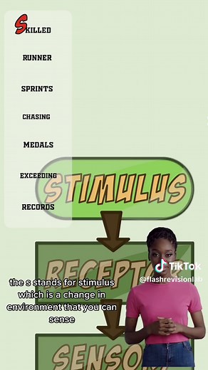 Usain Bolt: Calming Nerves for Exams in 55 Seconds