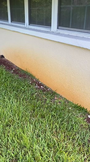 This job took a bit longer than normal, but doggone it this house, driveway and walkway cleaned up spectacularly!!!! | Michelle Turner