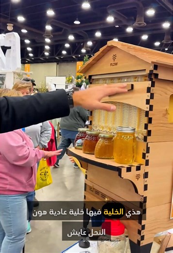 Exploring the Flow Hive: Beekeeping Insights