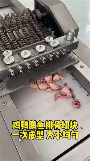 Automatic Meat Dicing Machine: From Whole Meat to Perfect Cubes in Seconds