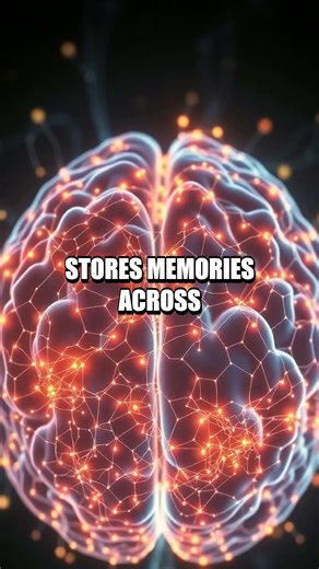 Inside the Brain's Hidden Clockwork Tonight