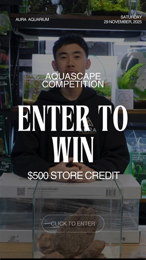 81 reactions · 147 shares | Sydney’s BIGGEST aquascaping event of the...