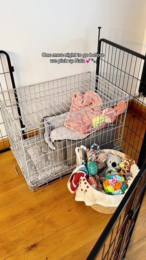 One more night before we pick up Nala! 💕 We have everything set up for the big day tomorrow 😊 #puppyessentials #cockapoo #dogsoftiktok #petsathome #cockapoo @Pets at Home