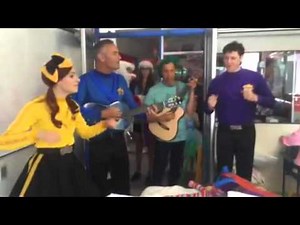 The Wiggles Make Ariel's Xmas Amazing at Sydney Childrens Hospital