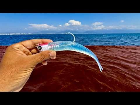 Sera posible PESCA con Marea roja? Este señuelo nos salvo el dia de pesca