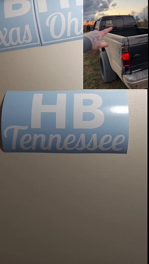 Holla Boys Sticker Decal Collection - Find Yours Now