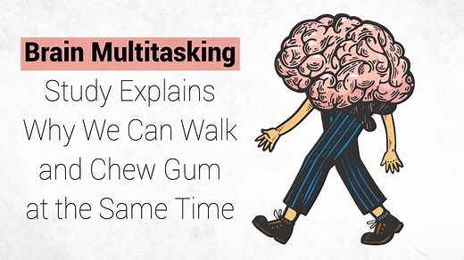 Brain Multitasking Study Explains Why We Can Walk and Chew Gum at the Same Time