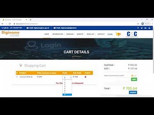 What is Diginame and Domain?