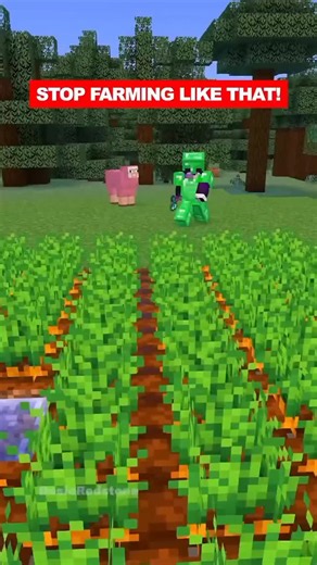 🅐🅓🅘🅣🅨🅐 🅚🅤🅜🅑🅗🅐🅡 on Instagram: "✨ Ultimate Minecraft Crop Farm Build! 🌾💎 "Level up your survival world with this insane auto crop farm idea! 🚜 From wheat to carrots, this farm’s got you covered for unlimited food and trading! 🔥 Perfect for beginners & pros – build it today and never run out of resources again! 💯" --- Tags: #minecraft #minecraftbuilds #minecraftfarm #minecraftcrops #minecraftideas #minecraftcommunity #minecraftlife #minecrafthacks #minecraftshorts #minecraftreels 