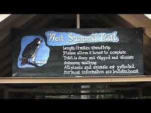 Hike up Pinnacle Mountain West Summit Trail