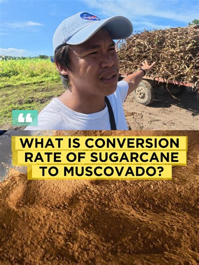 Conversion rate and units of measurement for Muscovado Sugar in Antique #puremuscovado #hamungayafarms #muscovadosugar | Hamungaya Farms