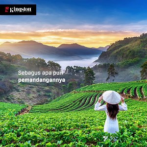 2.1K reactions · 17 comments | Happy World Photography Day!  Sempurnakan hobimu dengan memilih Kartu SD terbaik untuk kameramu. Kingston Canvas Go Plus merupakan kartu SD yang ideal untuk merekam video 4K UHD dan fotografi mode burst pada DSLR-mu. Dilengkapi dengan kapasitas besar hingga 1TB dan dukungan garansi seumur hidup. ✅ Kamu sudah pakai belum?   kings.tn/SDG3 #KingstonIsWithYou #SDCard #DSLR | Kingston Technology | Facebook