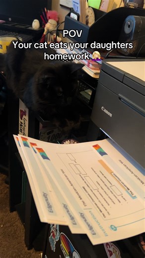 If the printer is on she is near 🫣🤣 She has a weird obsession with eating paper and attacking the paper coming out of the printer. 🖨️ We usually keep the school room doors shut while printing stuff or this is what happens 🤣🤣🤣 I can’t even with this girlie! #catsoftiktok #catcomedy #blackcat #homeschoolmom #fyp