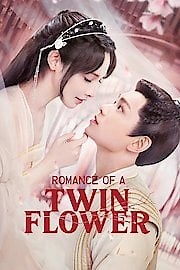 Watch Romance of a Twin Flower Season 1 Episode 33 - Episode 33