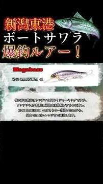 Use them properly to increase your catch! #fishing #Niigatafishing #boatsawara #shorts