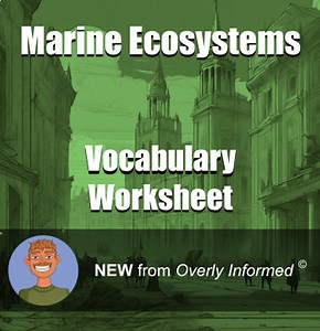 Marine Ecosystems Vocabulary Worksheet