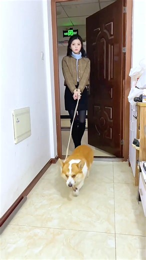 Dog found Owner’s Girlfriend 😂😍