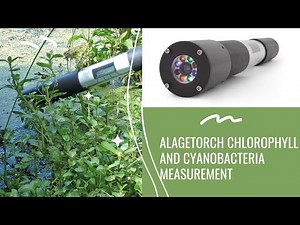 AlageTorch Chlorophyll and Cyanobacteria Measurement