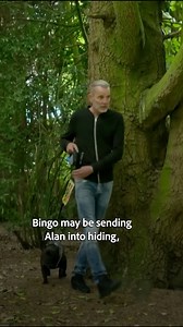 27K views · 101 reactions | Dog Owner Hides Behind Trees to Avoid People! #frenchbulldog #DogTraining #DogReels #Bulldog | Dogs Behaving Very Badly | Facebook