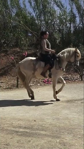T'as déjà vu un cheval danser ?🐴❤️