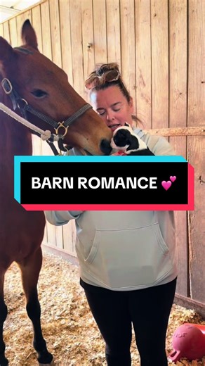 Barn romance. 🥹🐶🐴 Miller the adorable puppy meets Indy. #HackneyPony #Saddleseat #PuppyLove #BarnBesties #HorseTok @PJ @Aubrie