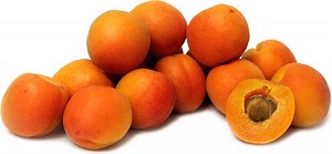 Aprium - Alchetron, The Free Social Encyclopedia