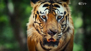 Big Beasts (TV Series 2023– ) ⭐ 7.9 | Documentary