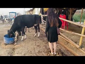 Barefoot walk in village