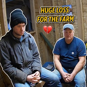 646K views · 2.4K reactions | Huge Loss for the Farm: It Was a Sad Day | Sonne Farms | Facebook