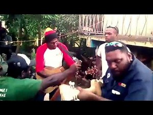 Tokotanowia String Band Practices..🎵🎼 I doko Station Takape